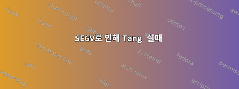 SEGV로 인해 Tang 실패