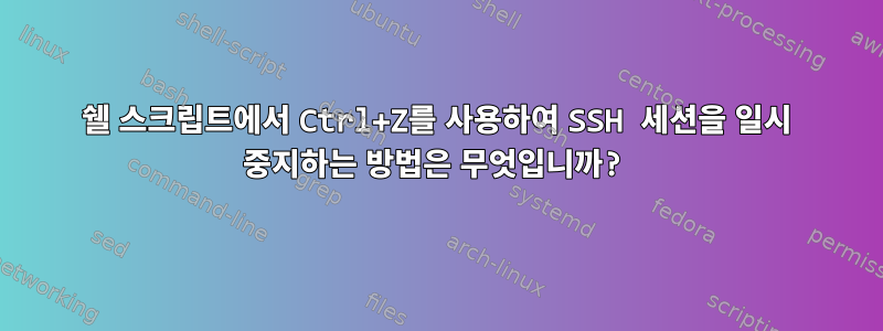 쉘 스크립트에서 Ctrl+Z를 사용하여 SSH 세션을 일시 중지하는 방법은 무엇입니까?