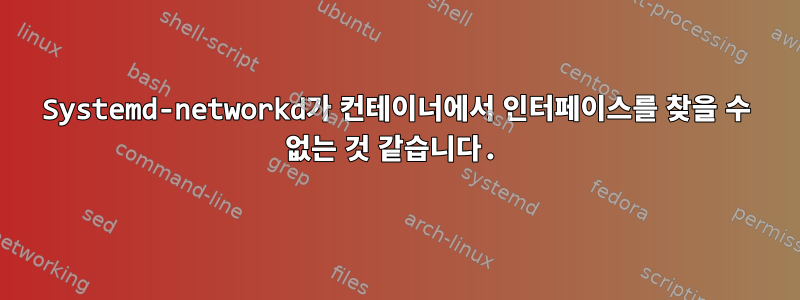 Systemd-networkd가 컨테이너에서 인터페이스를 찾을 수 없는 것 같습니다.