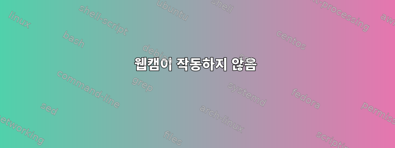 웹캠이 작동하지 않음