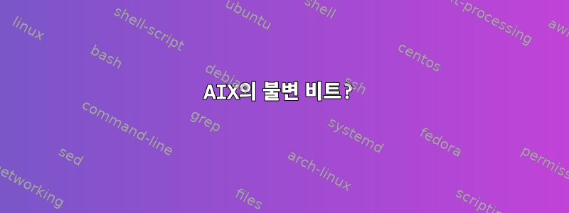 AIX의 불변 비트?