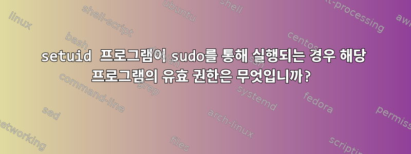 setuid 프로그램이 sudo를 통해 실행되는 경우 해당 프로그램의 유효 권한은 무엇입니까?