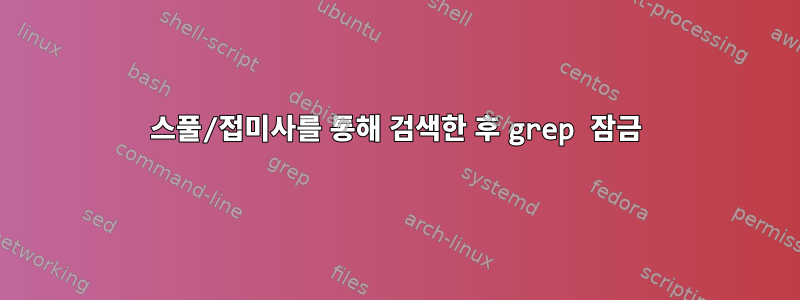 스풀/접미사를 통해 검색한 후 grep 잠금