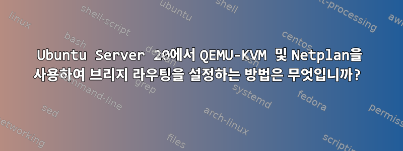 Ubuntu Server 20에서 QEMU-KVM 및 Netplan을 사용하여 브리지 라우팅을 설정하는 방법은 무엇입니까?