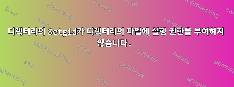 디렉터리의 Setgid가 디렉터리의 파일에 실행 권한을 부여하지 않습니다.