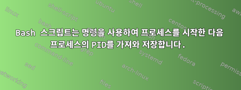 Bash 스크립트는 명령을 사용하여 프로세스를 시작한 다음 프로세스의 PID를 가져와 저장합니다.