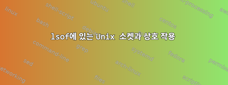 lsof에 있는 Unix 소켓과 상호 작용