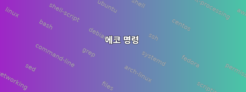 에코 명령