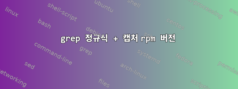 grep 정규식 + 캡처 rpm 버전