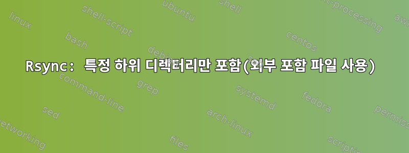 Rsync: 특정 하위 디렉터리만 포함(외부 포함 파일 사용)