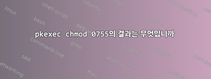 pkexec chmod 0755의 결과는 무엇입니까