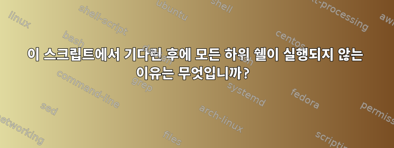 이 스크립트에서 기다린 후에 모든 하위 쉘이 실행되지 않는 이유는 무엇입니까?