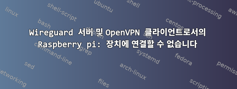 Wireguard 서버 및 OpenVPN 클라이언트로서의 Raspberry pi: 장치에 연결할 수 없습니다