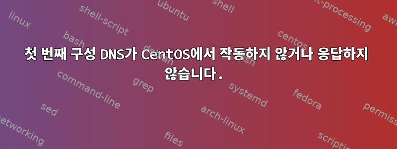 첫 번째 구성 DNS가 CentOS에서 작동하지 않거나 응답하지 않습니다.