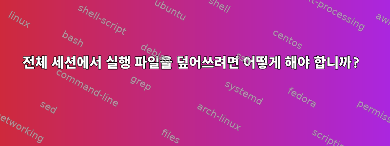 전체 세션에서 실행 파일을 덮어쓰려면 어떻게 해야 합니까?