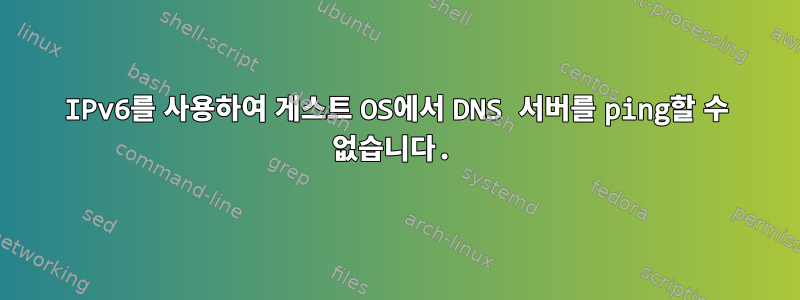 IPv6를 사용하여 게스트 OS에서 DNS 서버를 ping할 수 없습니다.