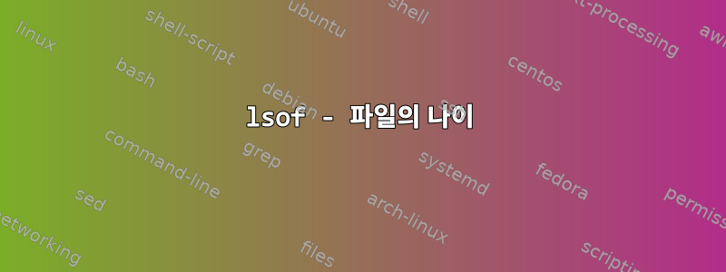 lsof - 파일의 나이