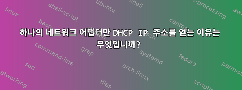 하나의 네트워크 어댑터만 DHCP IP 주소를 얻는 이유는 무엇입니까?