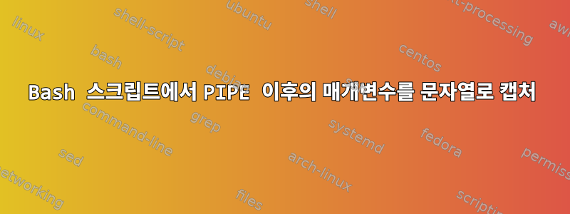 Bash 스크립트에서 PIPE 이후의 매개변수를 문자열로 캡처