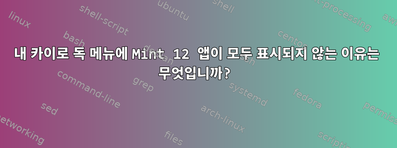 내 카이로 독 메뉴에 Mint 12 앱이 모두 표시되지 않는 이유는 무엇입니까?