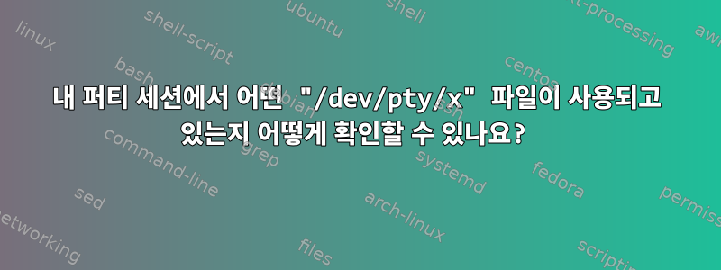 내 퍼티 세션에서 어떤 "/dev/pty/x" ​​​​파일이 사용되고 있는지 어떻게 확인할 수 있나요?