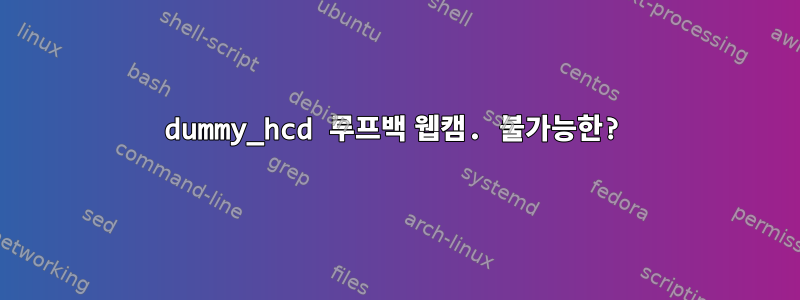 dummy_hcd 루프백 웹캠. 불가능한?