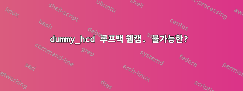 dummy_hcd 루프백 웹캠. 불가능한?