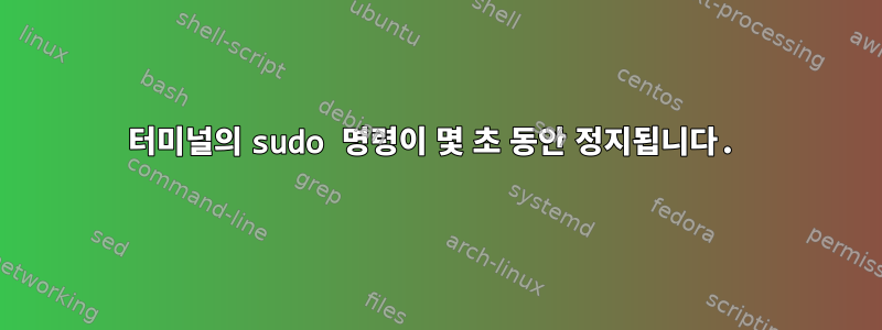 터미널의 sudo 명령이 몇 초 동안 정지됩니다.