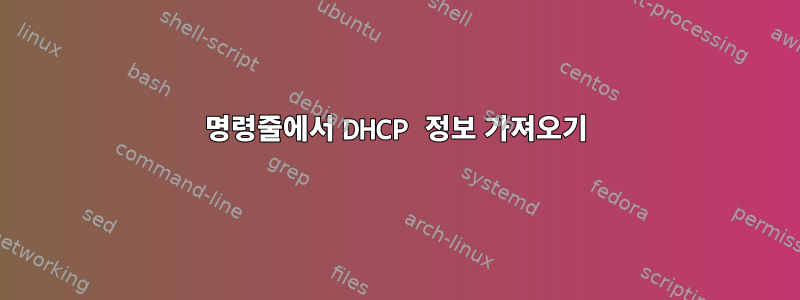 명령줄에서 DHCP 정보 가져오기