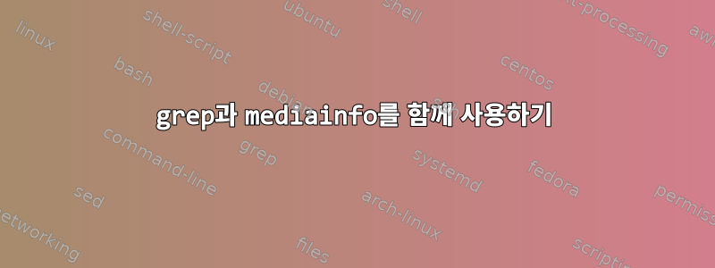 grep과 mediainfo를 함께 사용하기