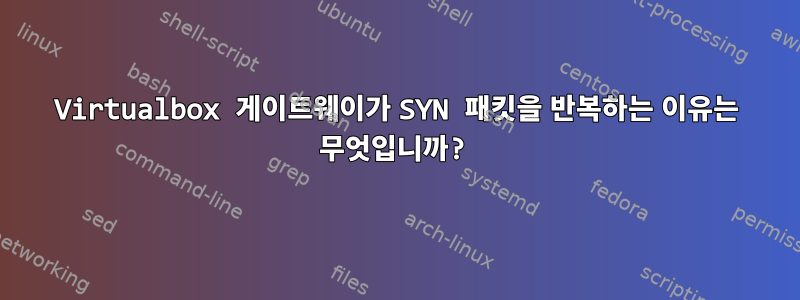 Virtualbox 게이트웨이가 SYN 패킷을 반복하는 이유는 무엇입니까?