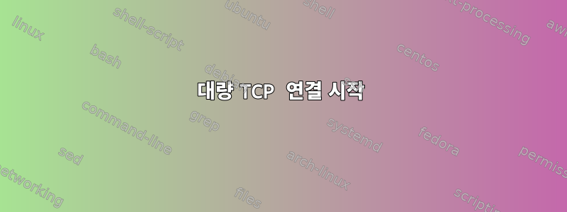 대량 TCP 연결 시작