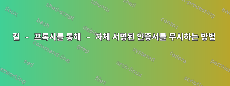 컬 - 프록시를 통해 - 자체 서명된 인증서를 무시하는 방법