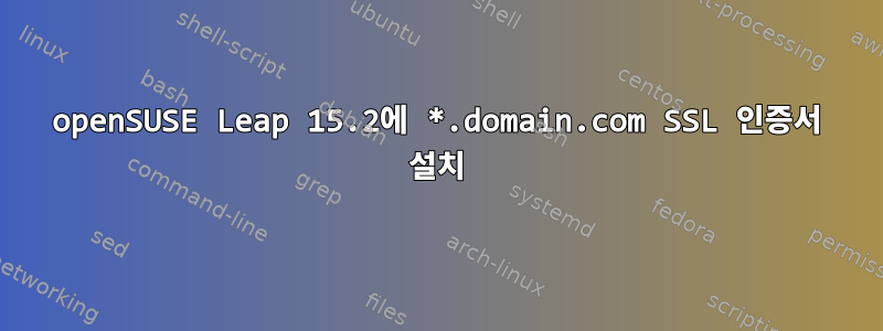 openSUSE Leap 15.2에 *.domain.com SSL 인증서 설치