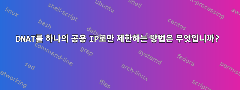 DNAT를 하나의 공용 IP로만 제한하는 방법은 무엇입니까?