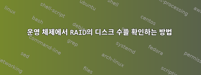 운영 체제에서 RAID의 디스크 수를 확인하는 방법