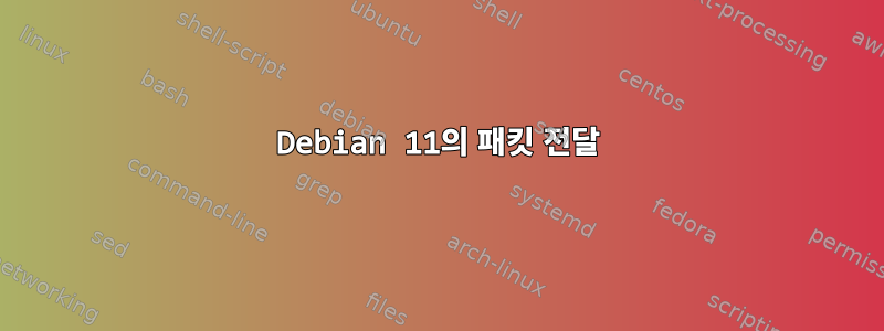 Debian 11의 패킷 전달