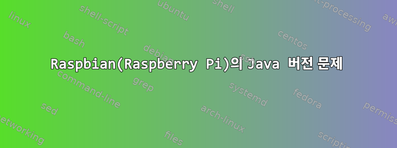 Raspbian(Raspberry Pi)의 Java 버전 문제