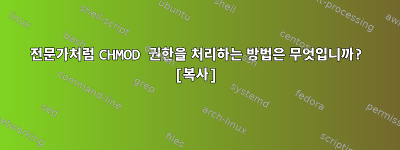 전문가처럼 CHMOD 권한을 처리하는 방법은 무엇입니까? [복사]