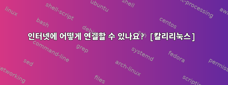 인터넷에 어떻게 연결할 수 있나요? [칼리리눅스]