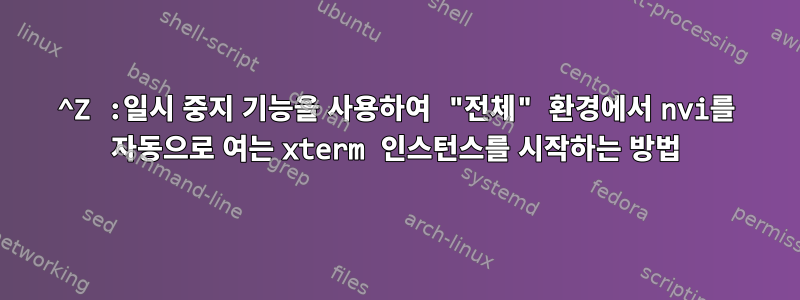 ^Z :일시 중지 기능을 사용하여 "전체" 환경에서 nvi를 자동으로 여는 xterm 인스턴스를 시작하는 방법