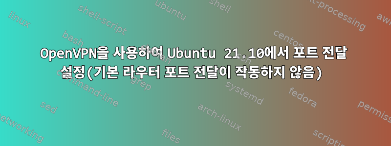 OpenVPN을 사용하여 Ubuntu 21.10에서 포트 전달 설정(기본 라우터 포트 전달이 작동하지 않음)