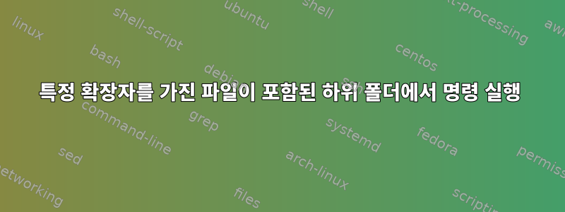 특정 확장자를 가진 파일이 포함된 하위 폴더에서 명령 실행