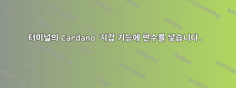 터미널의 Cardano 지갑 기능에 변수를 넣습니다.