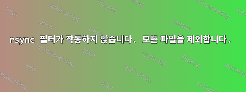 rsync 필터가 작동하지 않습니다. 모든 파일을 제외합니다.