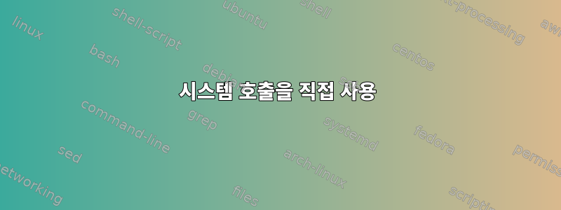 시스템 호출을 직접 사용