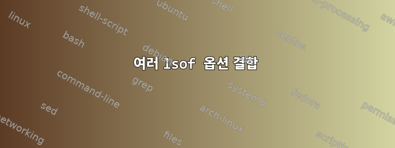 여러 lsof 옵션 결합