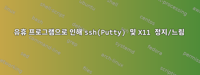 유휴 프로그램으로 인해 ssh(Putty) 및 X11 정지/느림