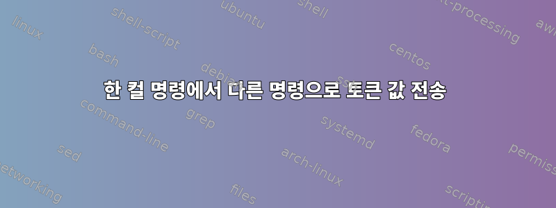 한 컬 명령에서 다른 명령으로 토큰 값 전송