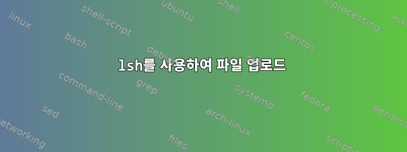 lsh를 사용하여 파일 업로드